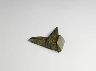 Werktuig uit Fresn-la-Mere, Frankrijk, Bronstijd (detail)